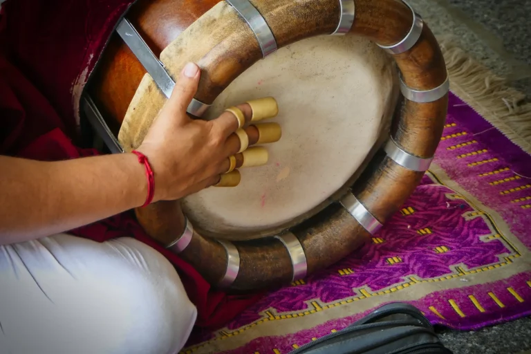 How to be a pro Musician via Carnatic vocal experiments