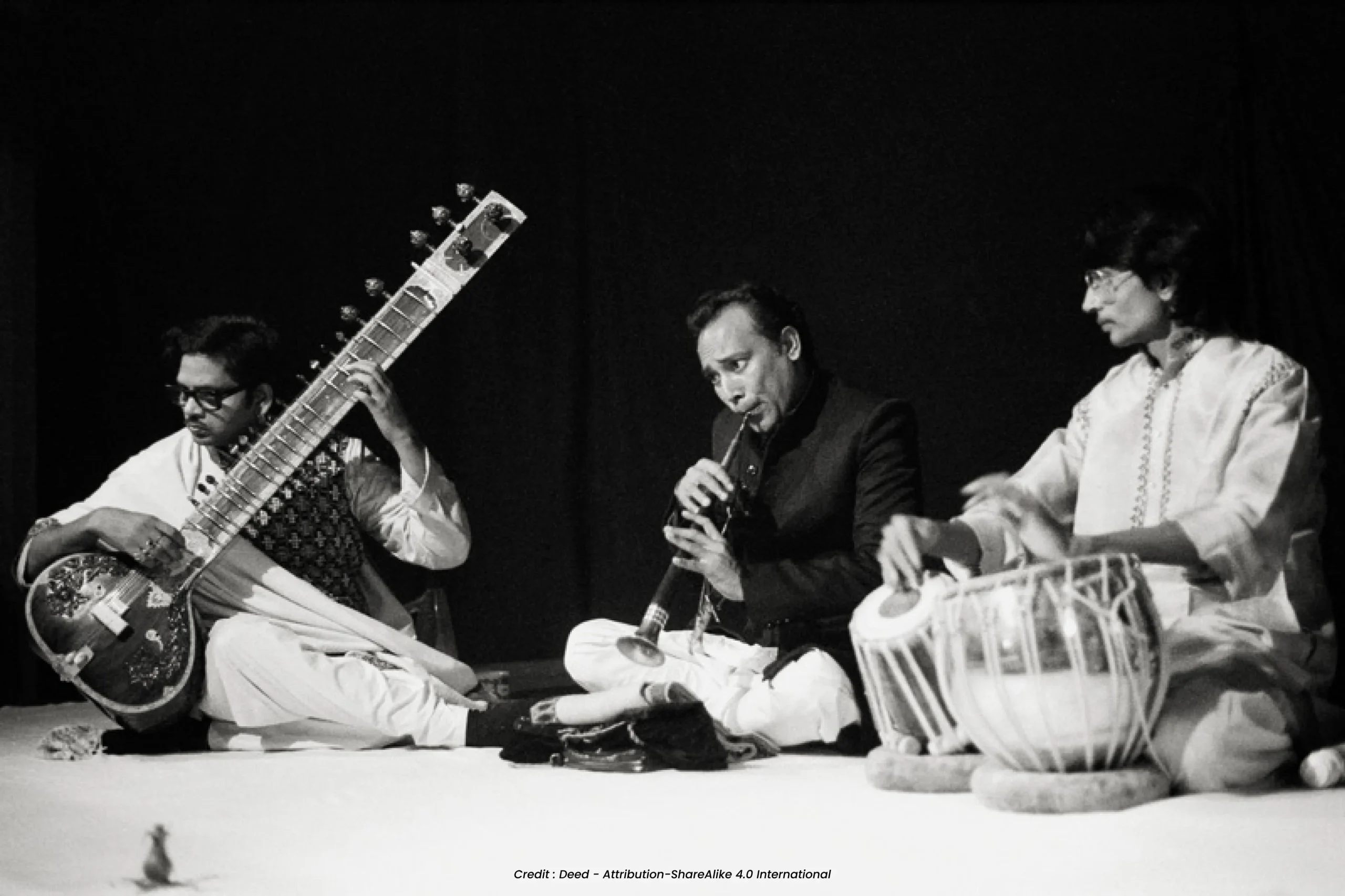 Hindustani Classical Musician