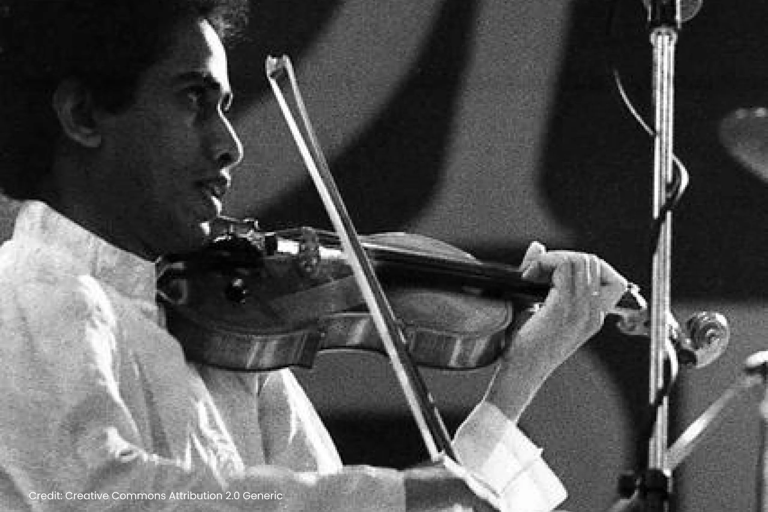 Violin