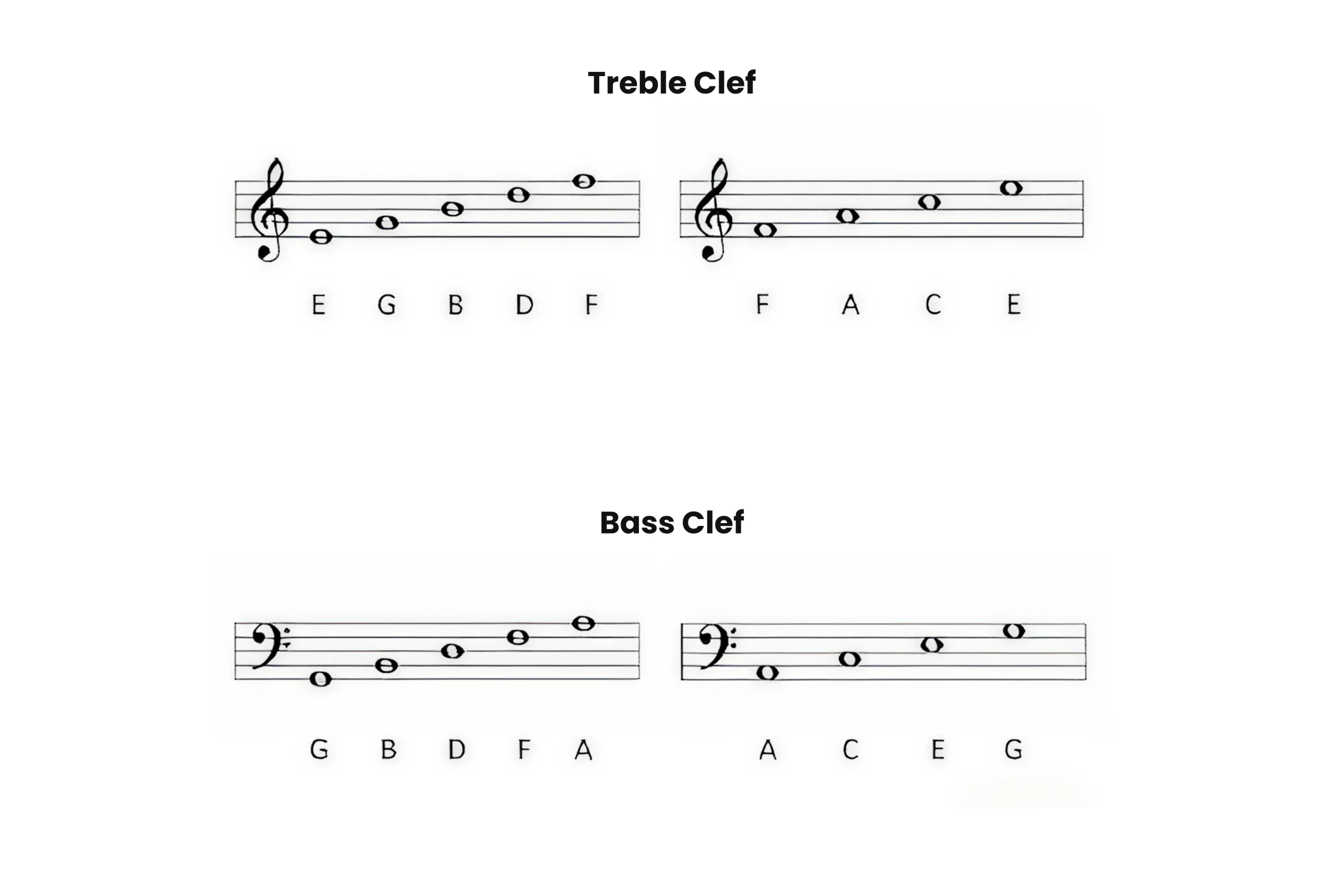 The Bass Clef Staff Lines and Spaces