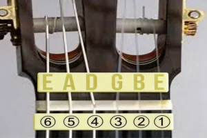 How to Remember Guitar String Names and Numbers